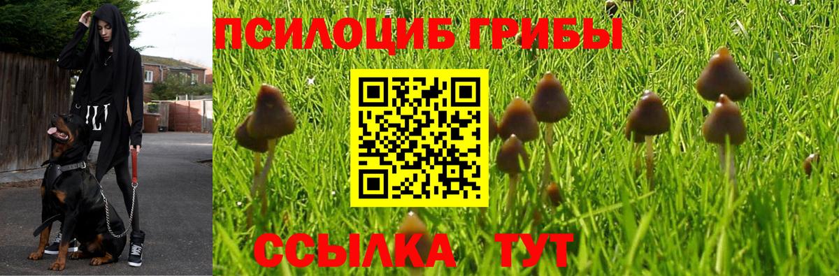 Героин Камышин