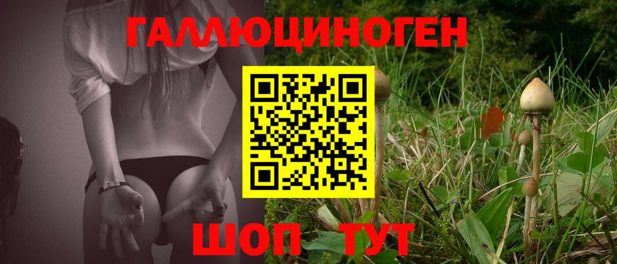 Камышин  Галлюциногенные грибы MAGIC MUSHROOMS  Псилоцибиновые грибы Psilocybe  Вход с VPN 